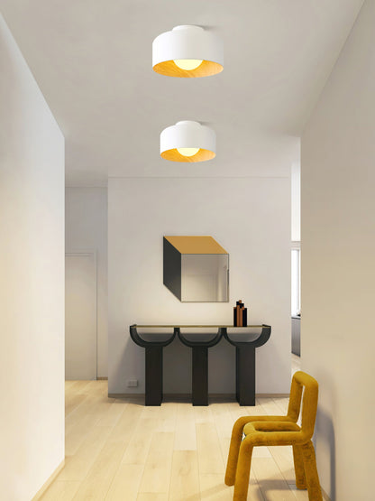 Lumosphere Ceiling Light | Metal, Glass | Wood Grain Hydrographics