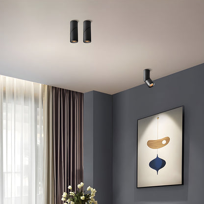 Maxwell Pivot Downlight | Metal, Aluminum, Acrylic | Black, White
