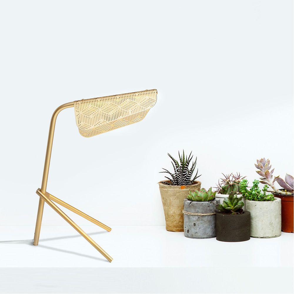 Mediterranea Table Lamp | Electroplating Gold | LED
