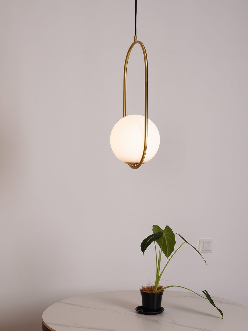 Glass Pendant Lamp | Brass & Glass | Gold, Black, Chrome
