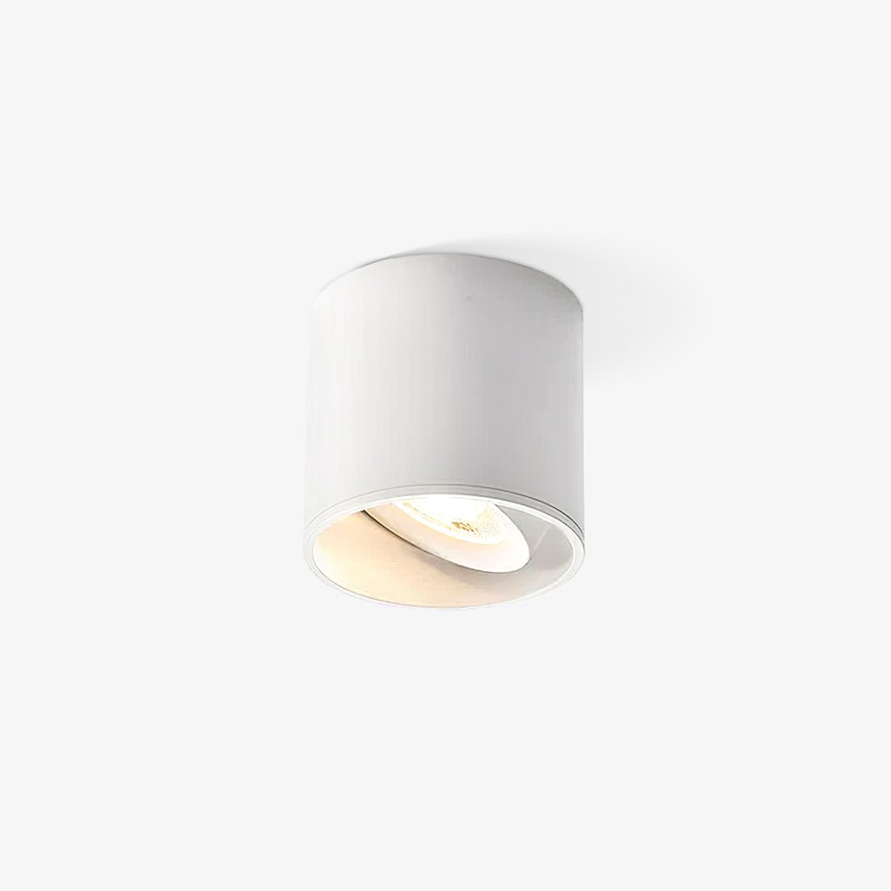 Modupoint Ceiling Light | Metal & Acrylic | White or Black Finish
