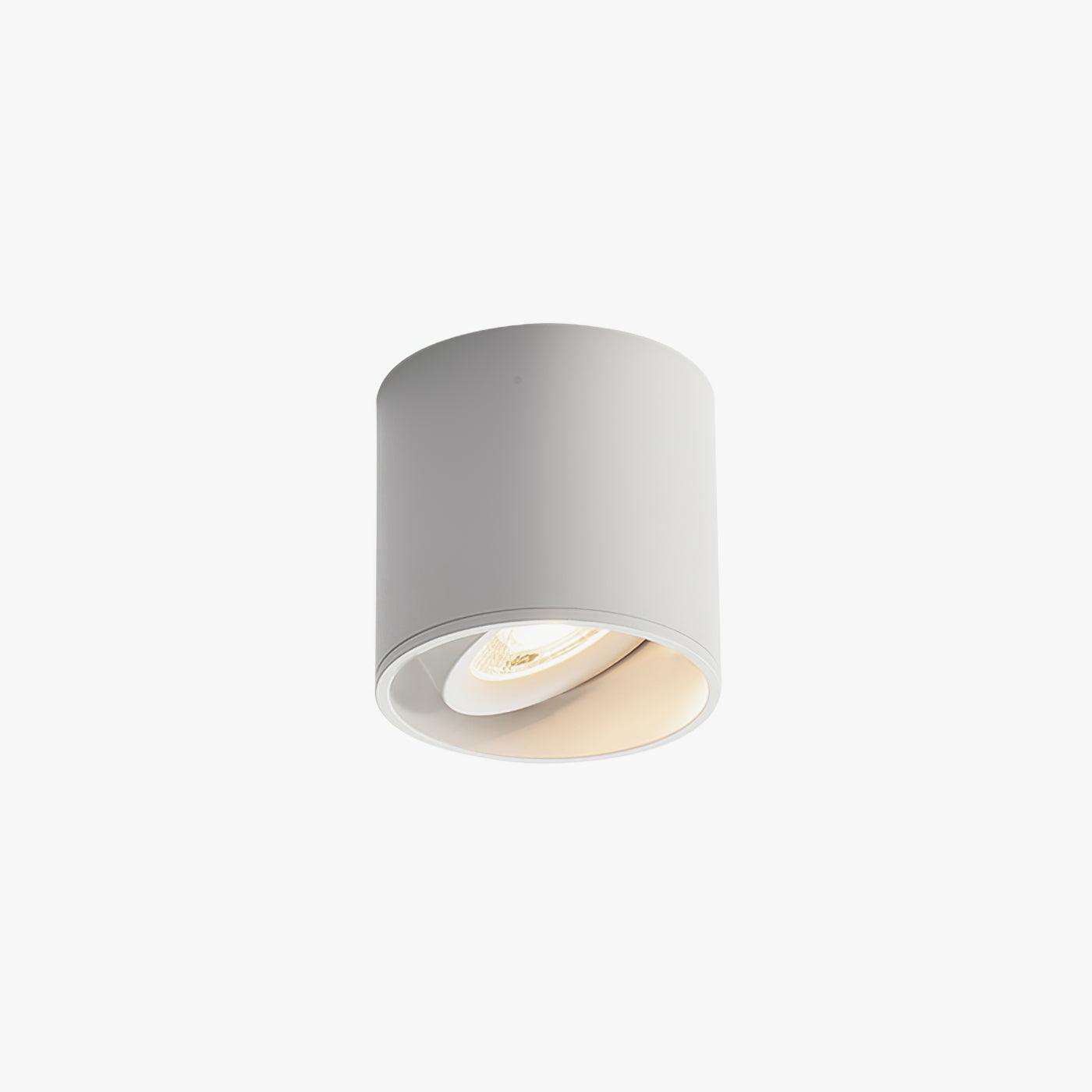 Modupoint Ceiling Light | Metal & Acrylic | White or Black Finish