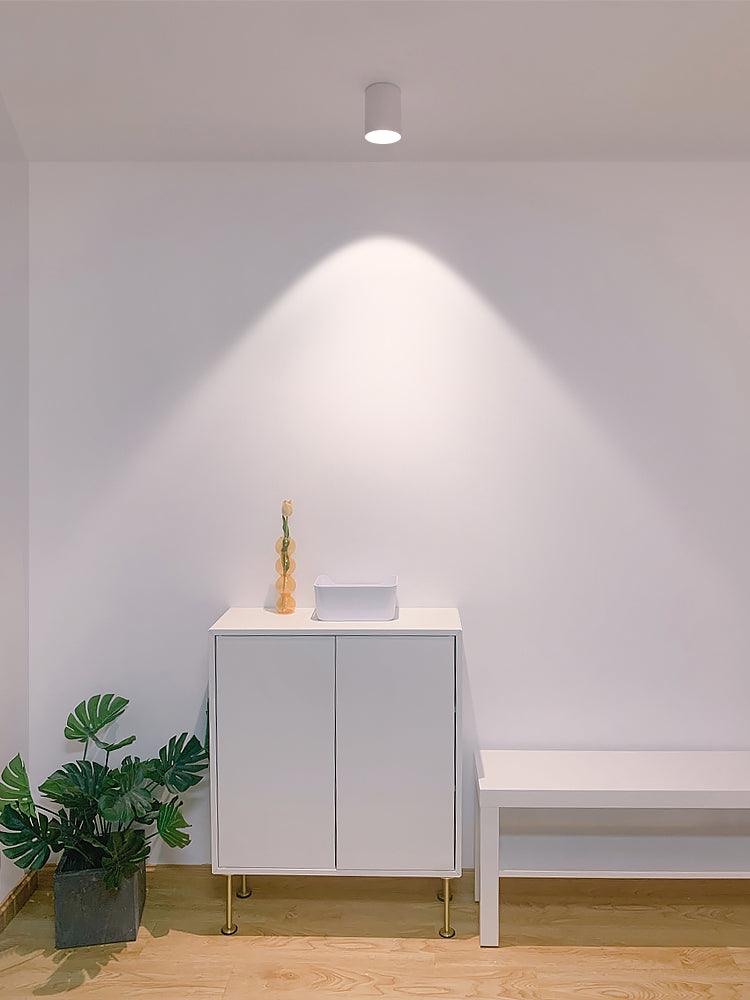 Modupoint Ceiling Light | Metal & Acrylic | White or Black Finish