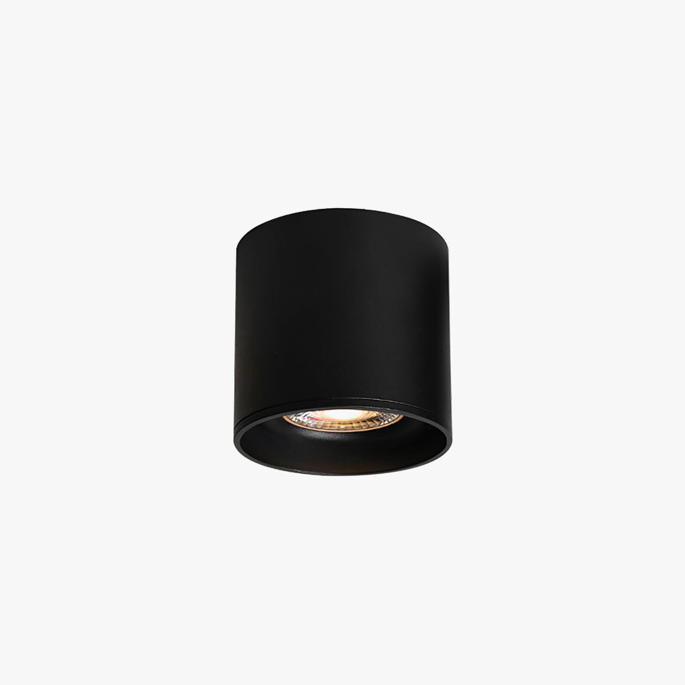 Modupoint Ceiling Light | Metal & Acrylic | White or Black Finish