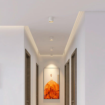Modupoint Ceiling Light | Metal & Acrylic | White or Black Finish