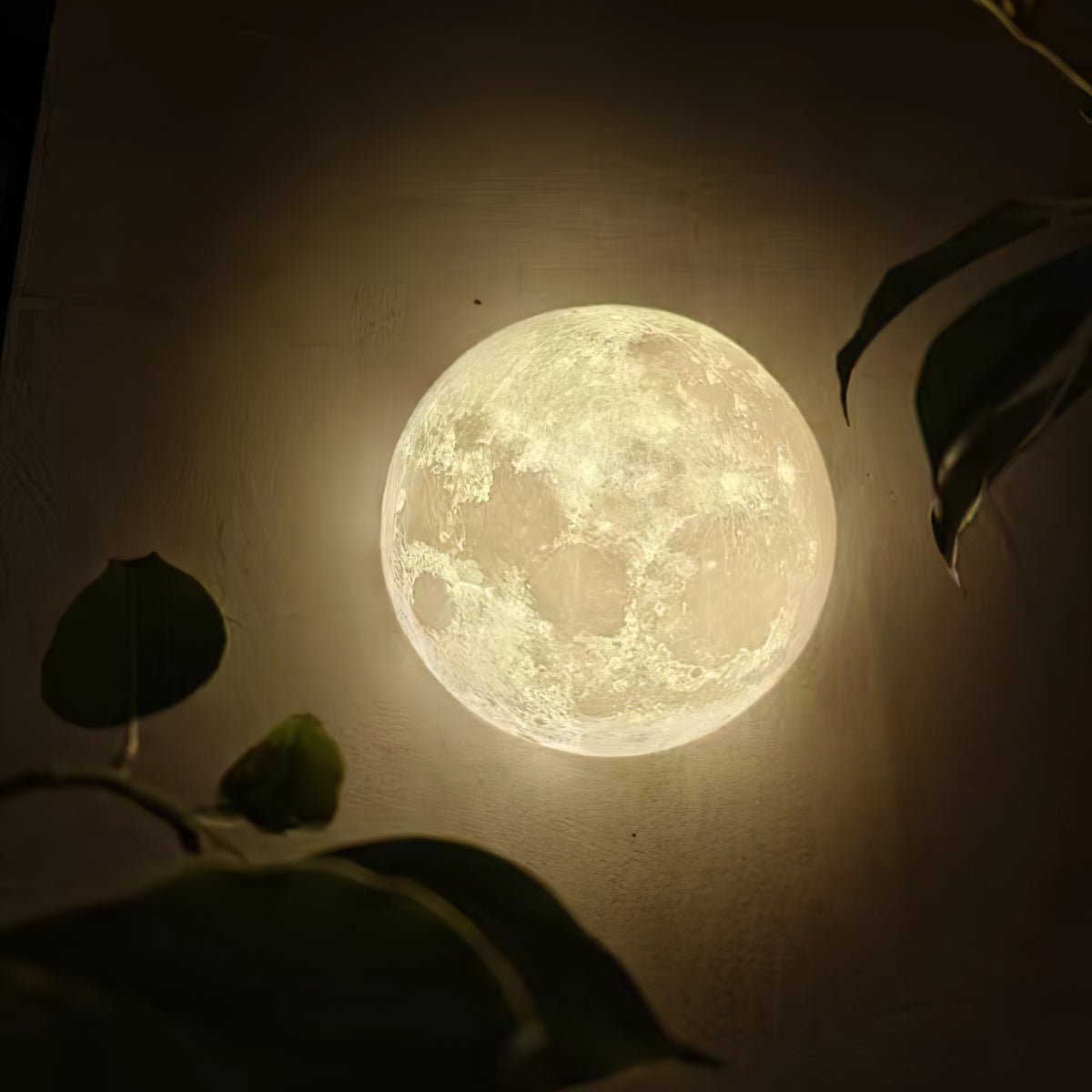 Moon 3D Wall Lamp | Lunar Surface | White