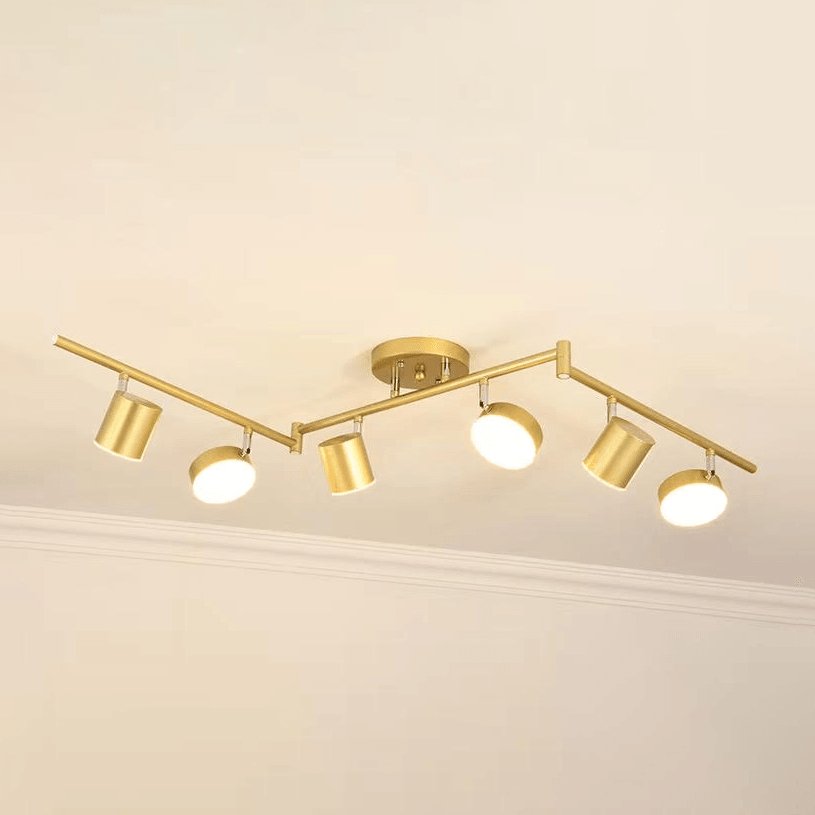 Track Light Ceiling Fixture | Adjustable Metal & Acrylic | Black & Gold