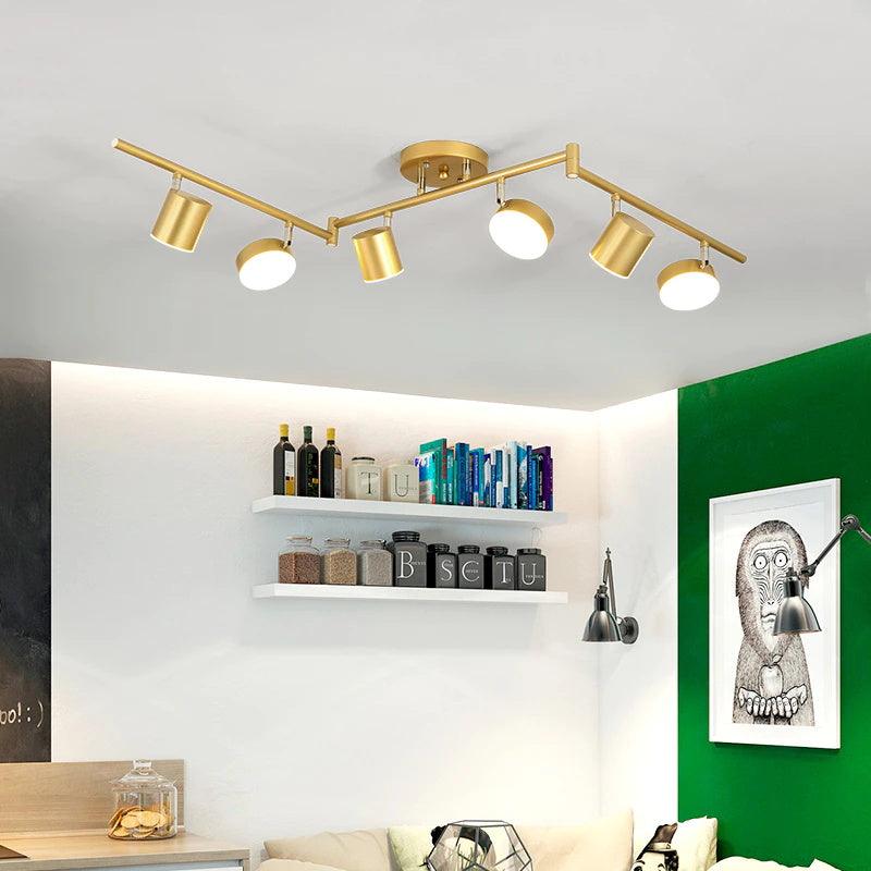 Track Light Ceiling Fixture | Adjustable Metal & Acrylic | Black & Gold
