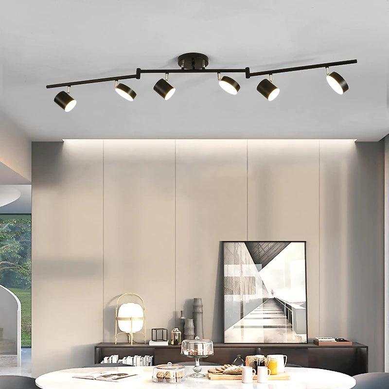 Track Light Ceiling Fixture | Adjustable Metal & Acrylic | Black & Gold
