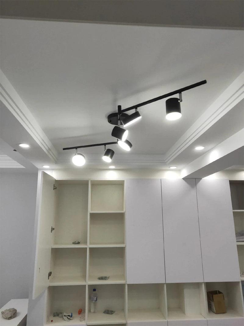Track Light Ceiling Fixture | Adjustable Metal & Acrylic | Black & Gold