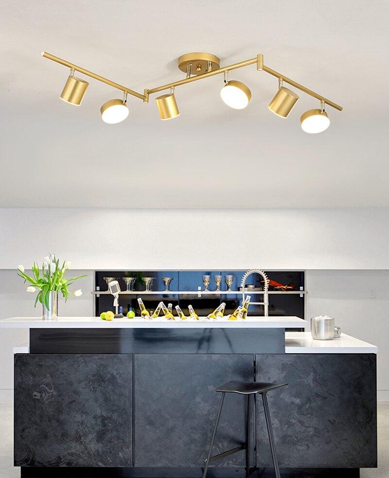 Track Light Ceiling Fixture | Adjustable Metal & Acrylic | Black & Gold
