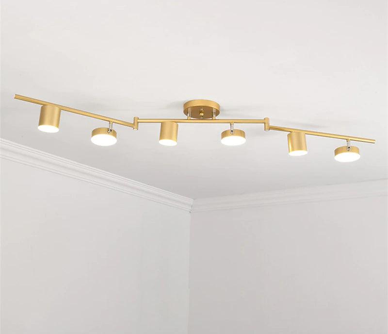 Track Light Ceiling Fixture | Adjustable Metal & Acrylic | Black & Gold
