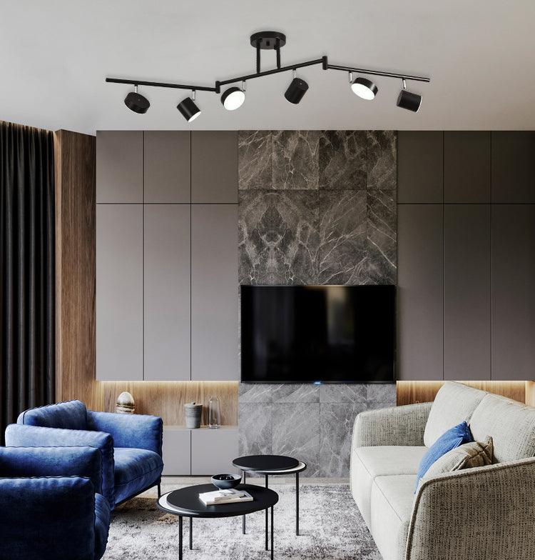 Track Light Ceiling Fixture | Adjustable Metal & Acrylic | Black & Gold