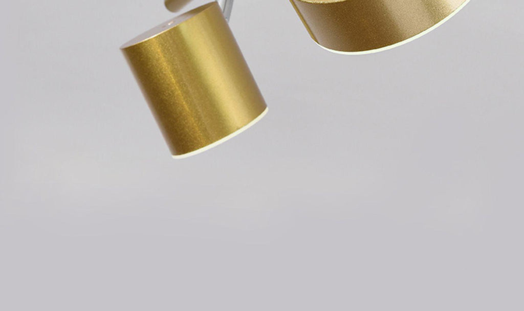 Track Light Ceiling Fixture | Adjustable Metal & Acrylic | Black & Gold