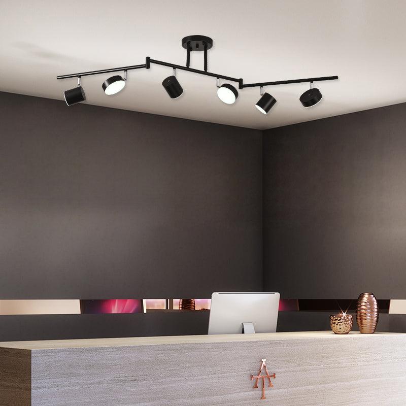 Track Light Ceiling Fixture | Adjustable Metal & Acrylic | Black & Gold