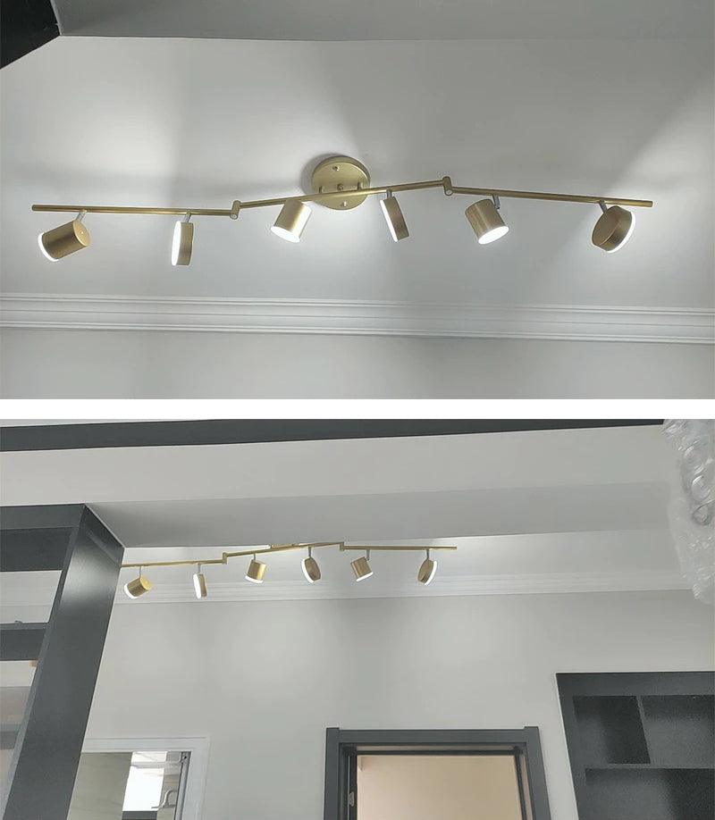 Track Light Ceiling Fixture | Adjustable Metal & Acrylic | Black & Gold