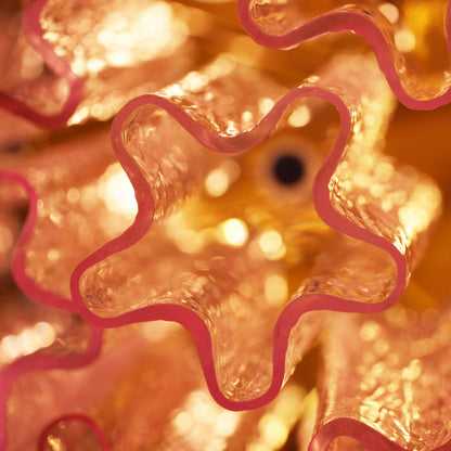 Murano Glass Ceiling Light | Pink | Gold Finish