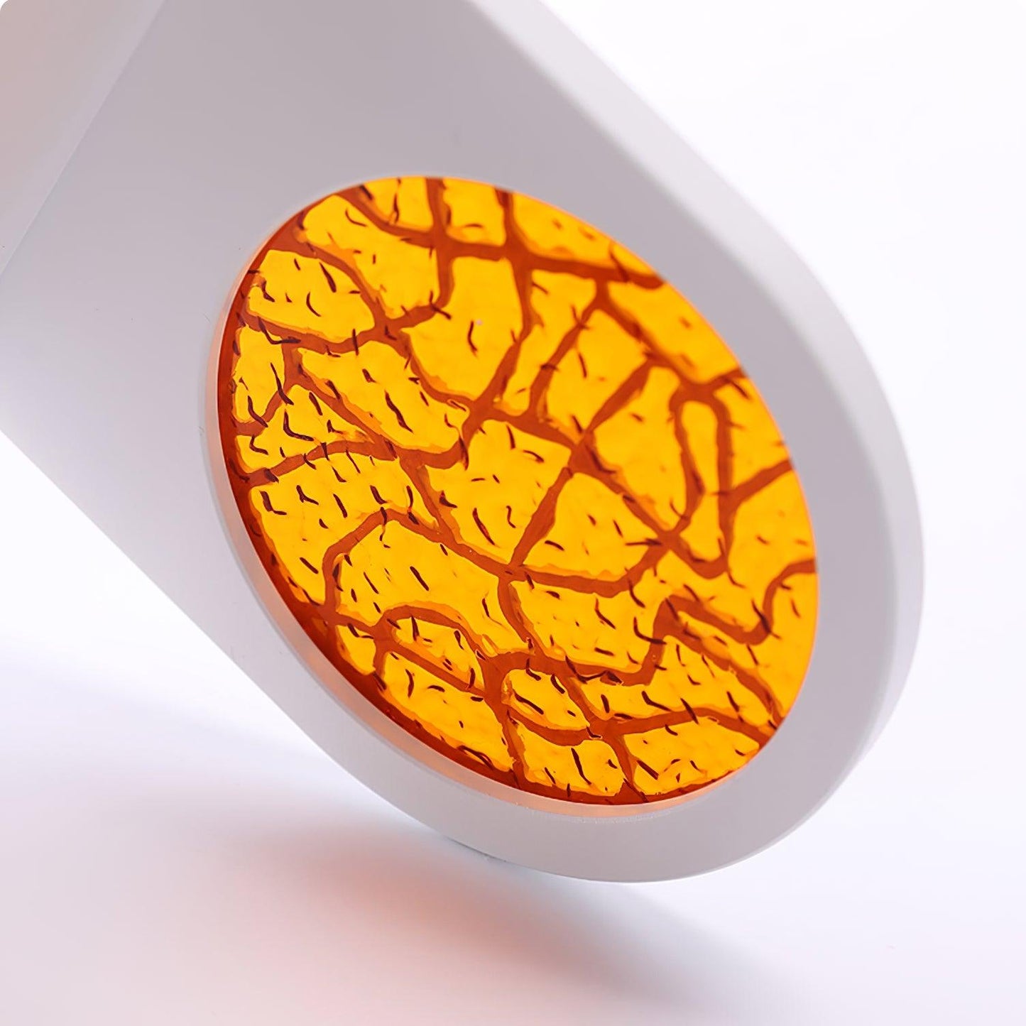 Nights LED Sconce | Aluminum | White or Black