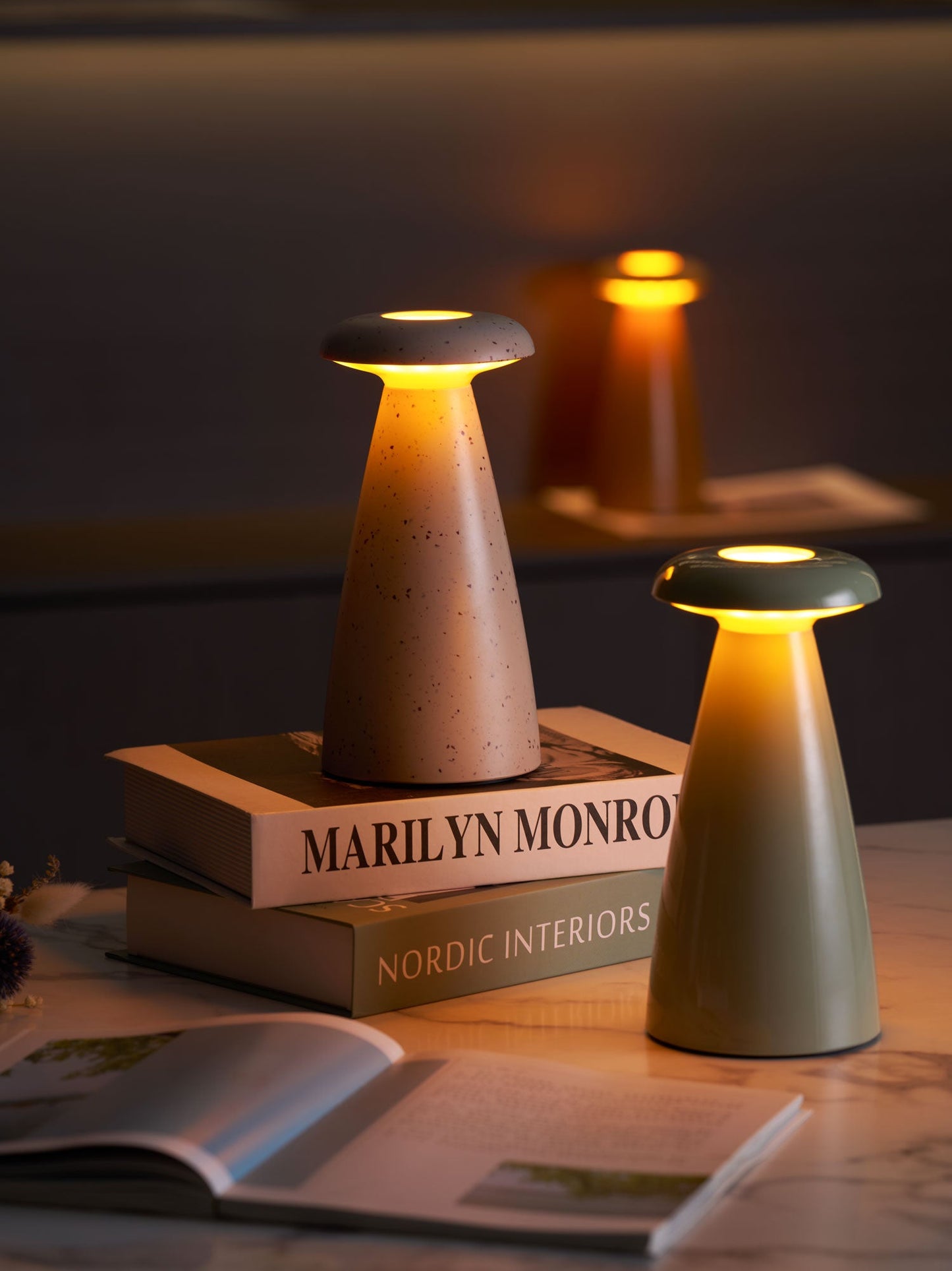Noko Mushroom Table Lamp | Rechargeable | Grey, Green, Orange