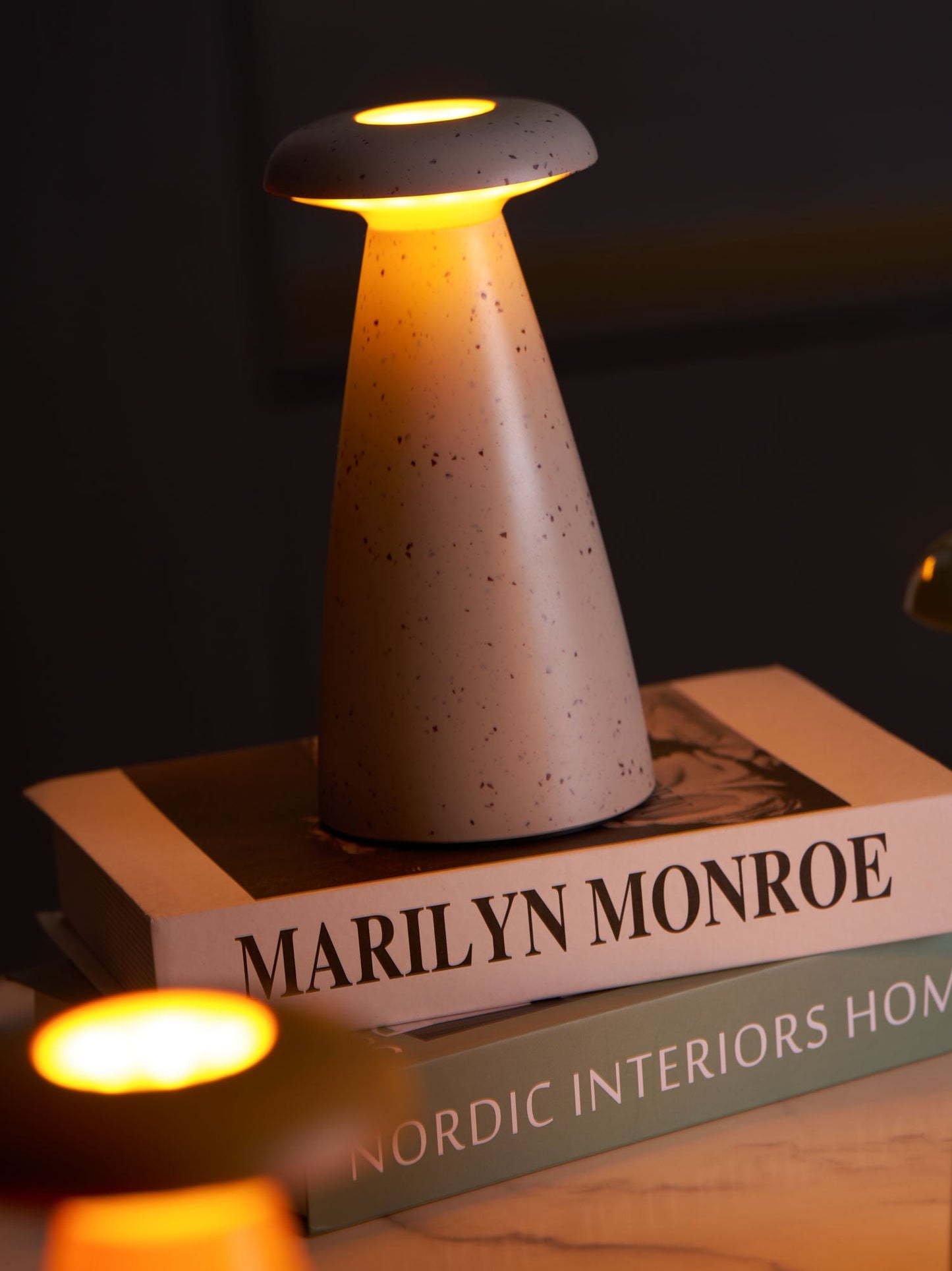 Noko Mushroom Table Lamp | Rechargeable | Grey, Green, Orange