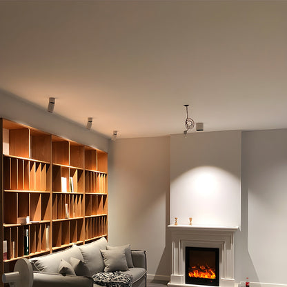 Oliver Tube Downlight | Metal & Aluminum | Black or White