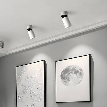 Oliver Tube Downlight | Metal & Aluminum | Black or White