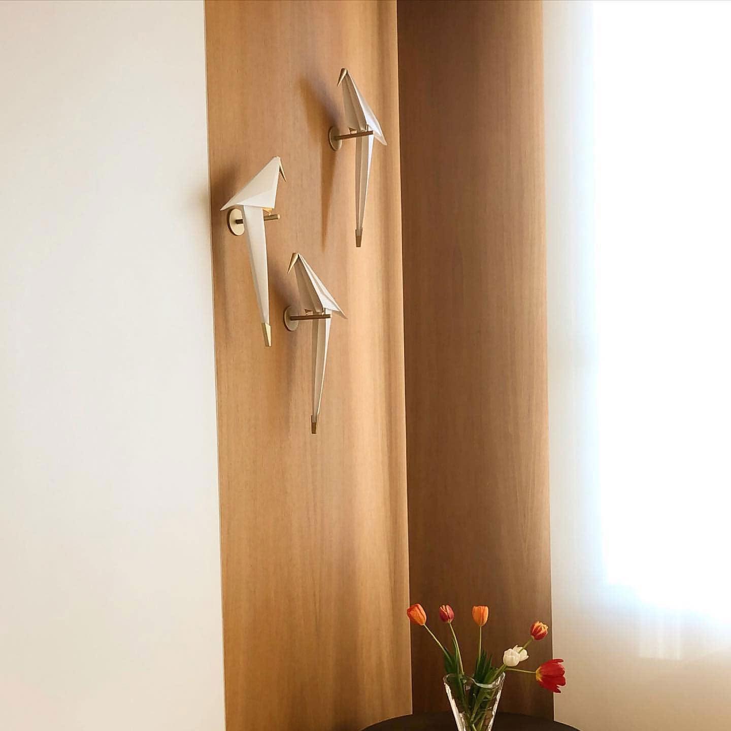 Avian Serenity Wall Lamp | Adjustable Metal & PC | Set of 2