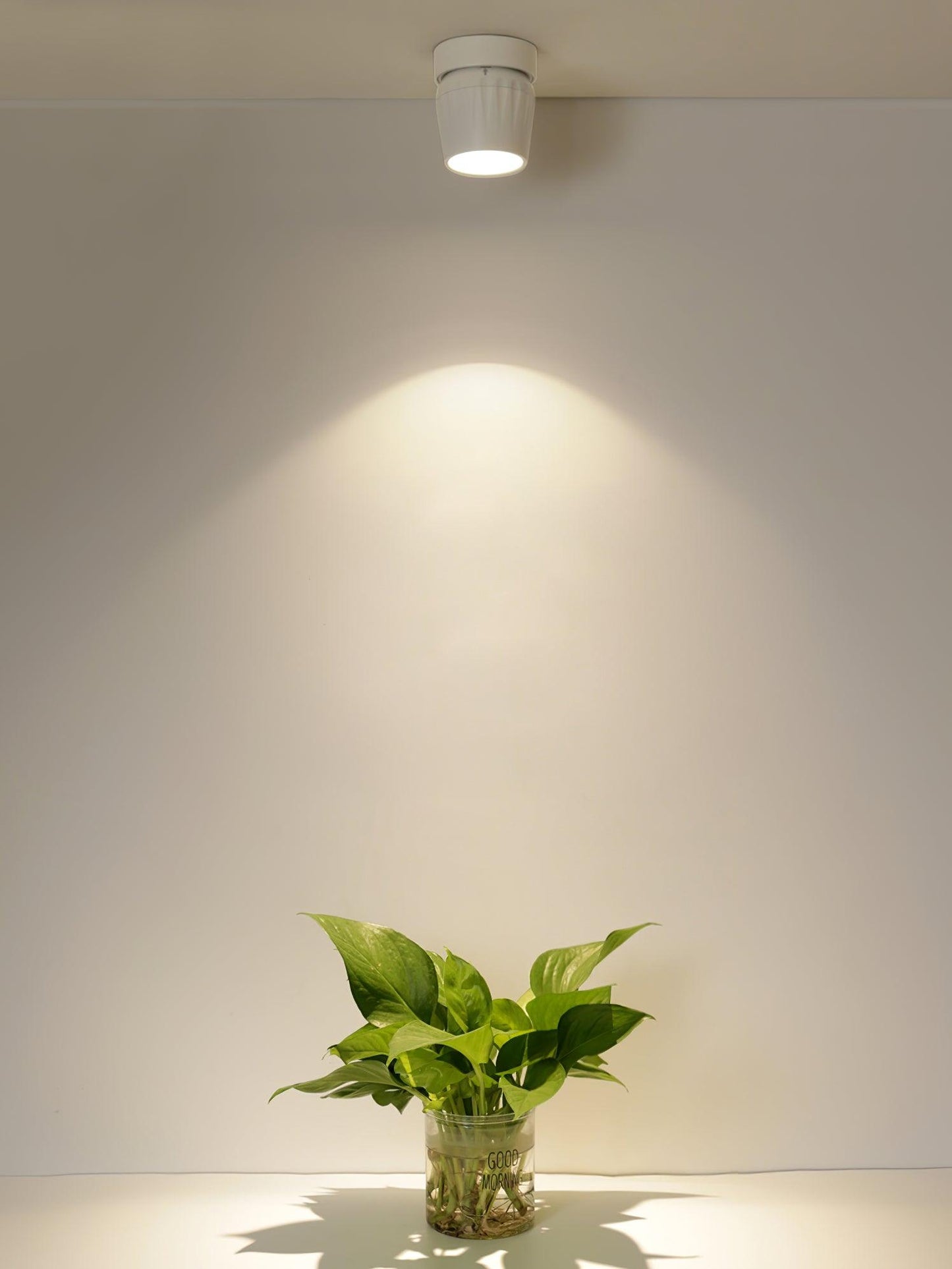 Ceiling Spotlight | Rotatable Aluminum & Metal | Set of 5