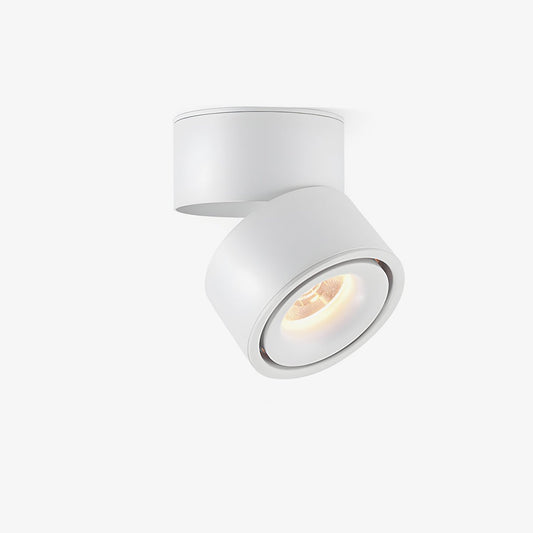 Ceiling Spotlight | Metal & Aluminum | Adjustable LED Light