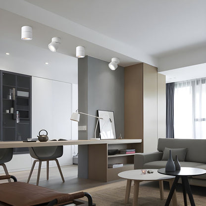 Ceiling Spotlight | Metal & Aluminum | Adjustable LED Light