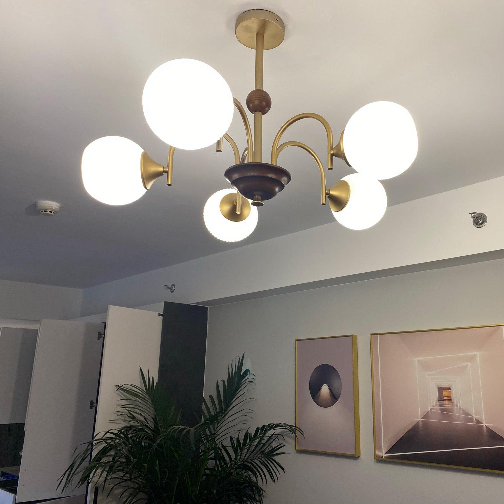 Glass Ribbed Chandelier | Metal & Glass | Gold & Walnut Finish