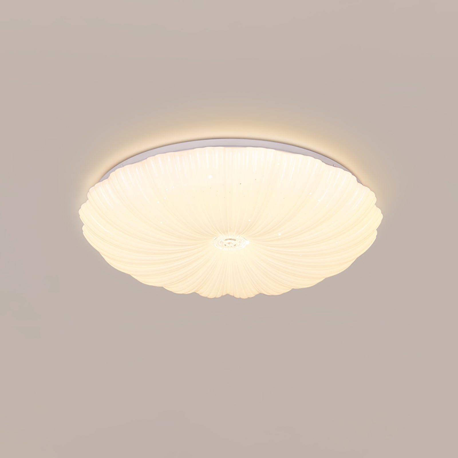 Acrylic Shell Ceiling Lamp | Metal & Acrylic | White