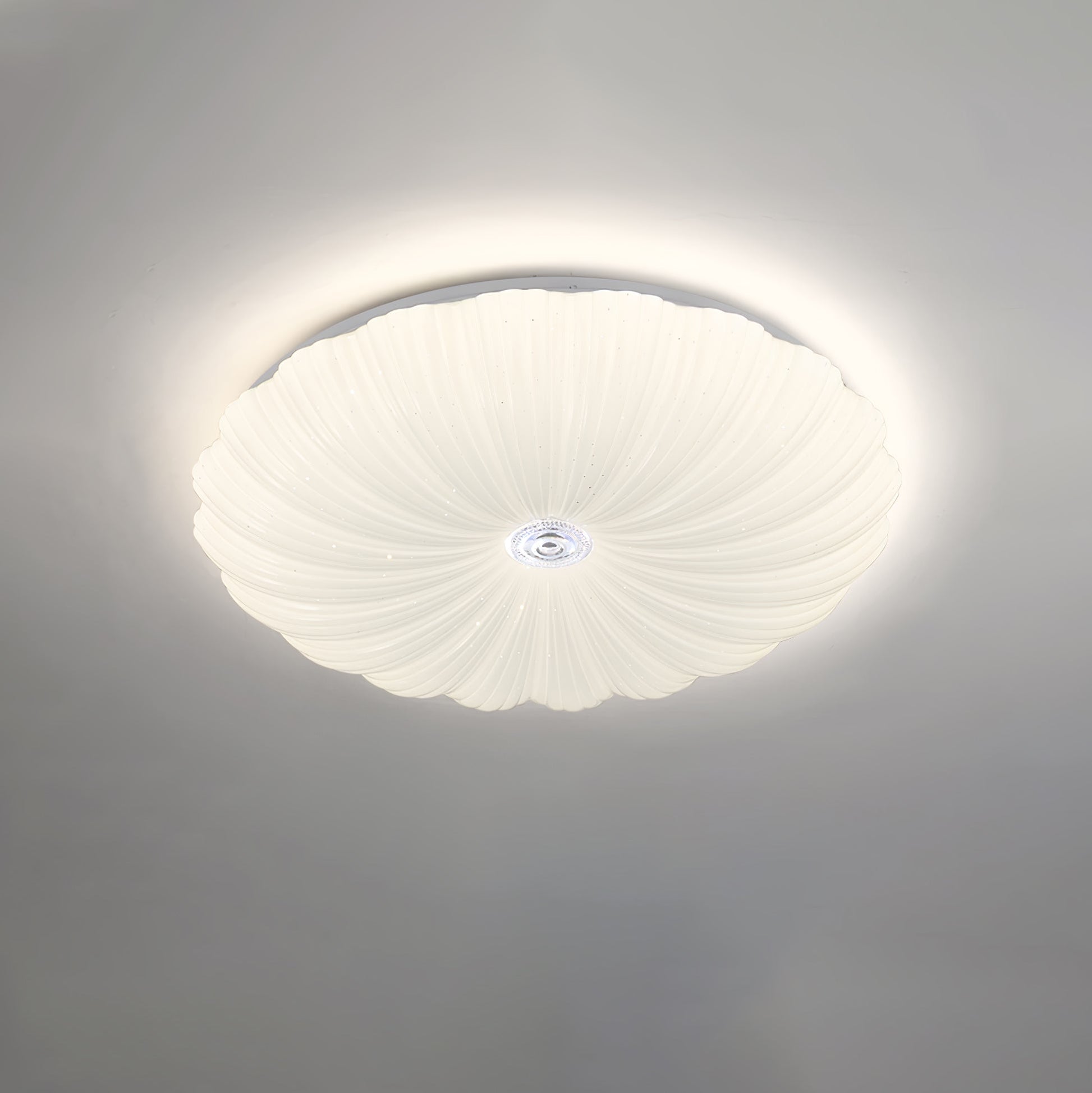 Acrylic Shell Ceiling Lamp | Metal & Acrylic | White