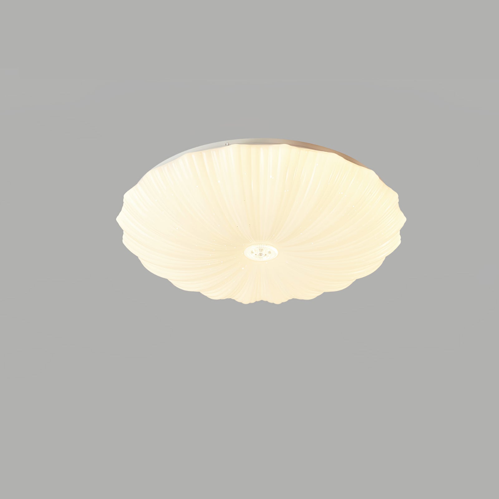 Acrylic Shell Ceiling Lamp | Metal & Acrylic | White