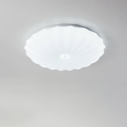 Acrylic Shell Ceiling Lamp | Metal & Acrylic | White