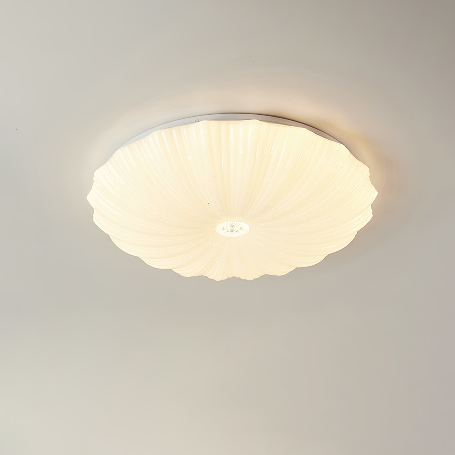 Acrylic Shell Ceiling Lamp | Metal & Acrylic | White