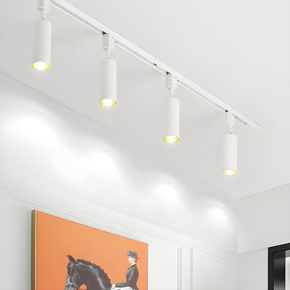 Track Light Fixture | Sleek Metal Design | 2 to 7 Lights Options