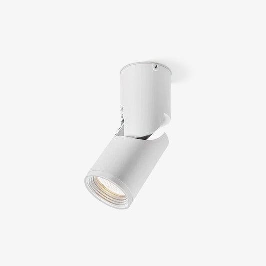 LED Spotlights | Adjustable Metal Projectors | Set of 5 with Warm, Neutral, Cool Light Options