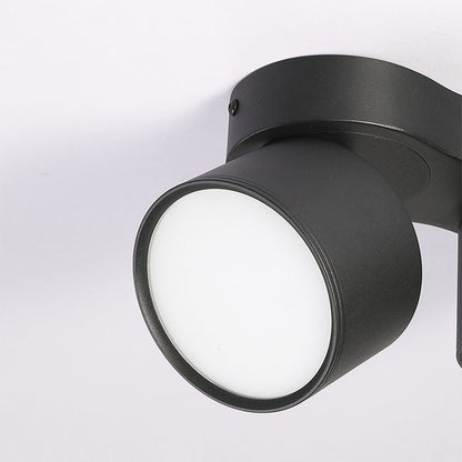Rotating Ceiling Lamp | Aluminum | 3-Head | Black & White