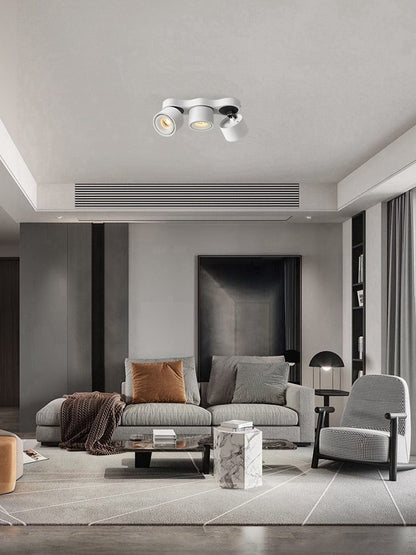 Rotating Ceiling Lamp | Aluminum | 3-Head | Black & White
