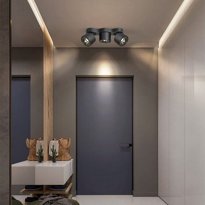 Rotating Ceiling Lamp | Aluminum | 3-Head | Black & White