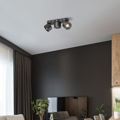 Rotating Ceiling Lamp | Aluminum | 3-Head | Black & White