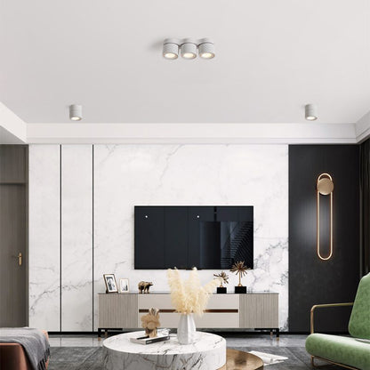 Rotating Ceiling Lamp | Aluminum | 3-Head | Black & White