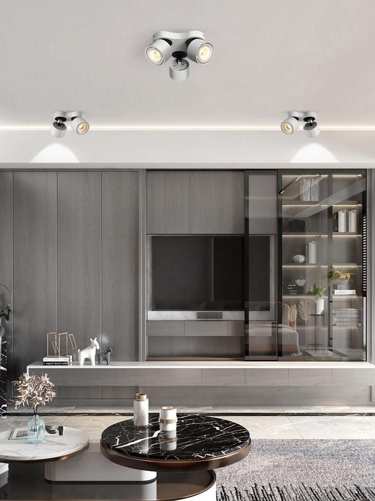 Rotating Spotlight | Integrated LED | Black or White