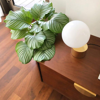 Table Lamp | Metal & Glass | Gold Finish