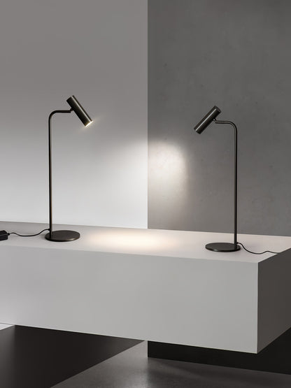 Torris Table Lamp | Satin Brass | Adjustable Height 60cm