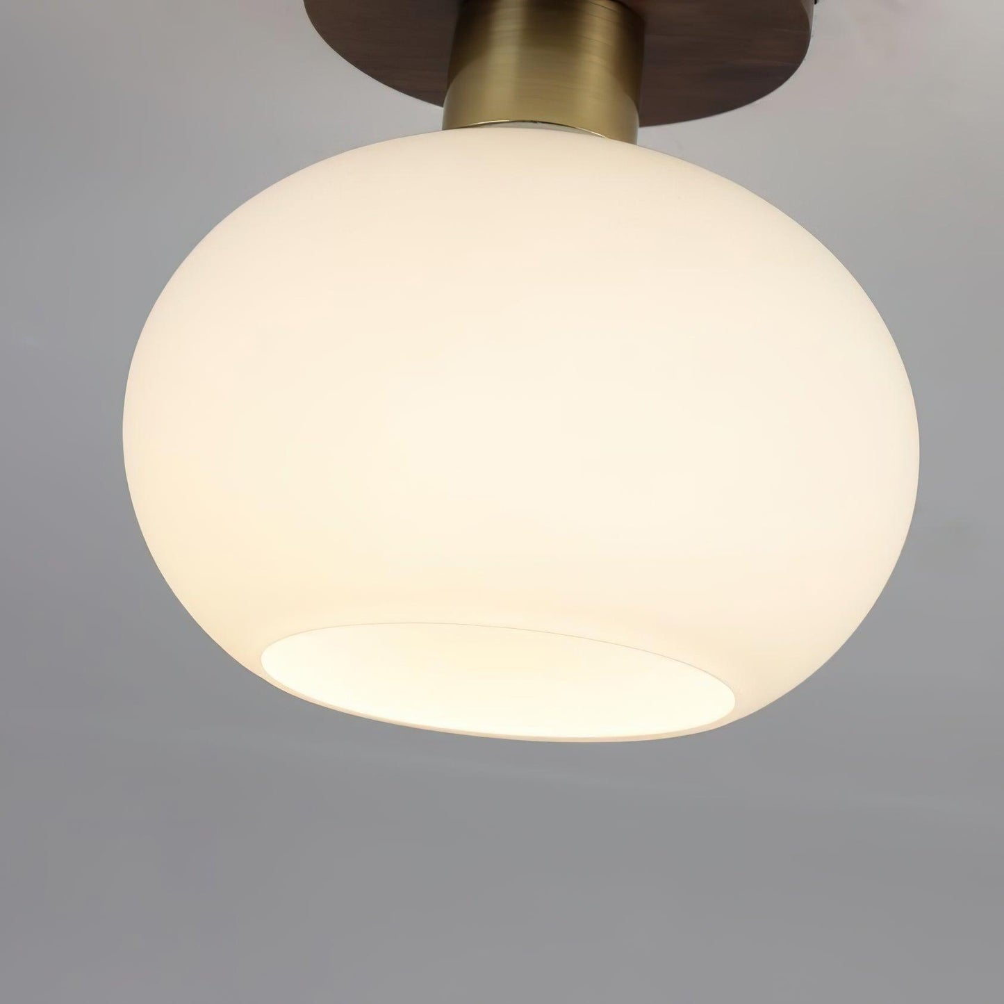 Shell Ceiling Lamp | Black Walnut & Copper | 18cm Diameter